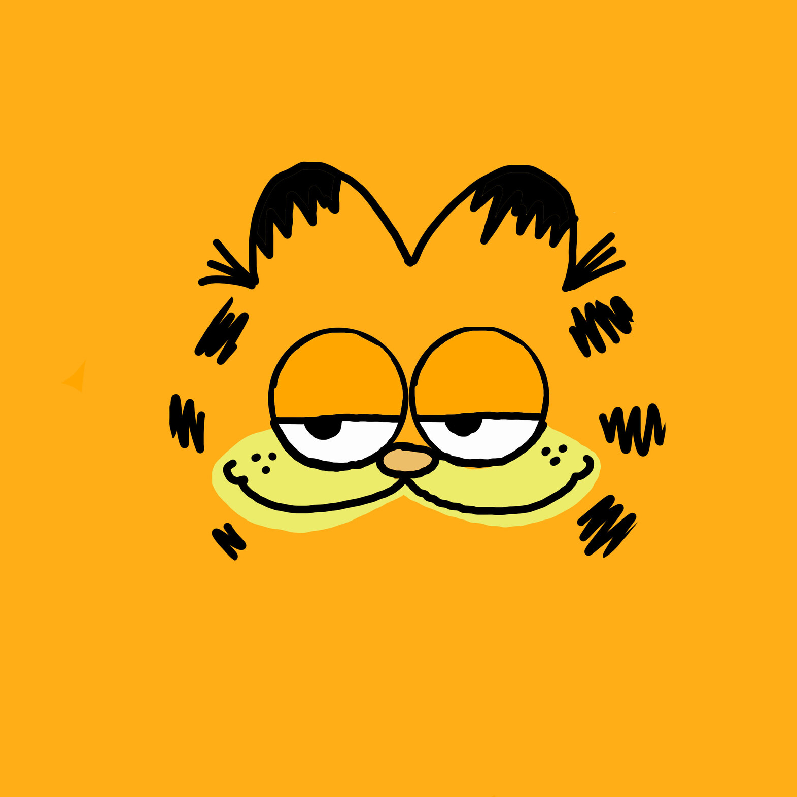 smug garfield